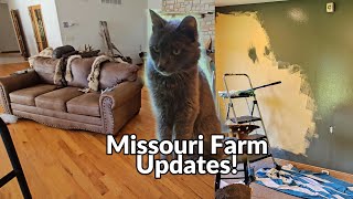 Missouri Ozarks Homestead Weekly Life amp Land Updates [upl. by Refiffej780]