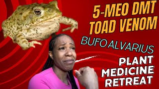 5MEO DMT Toad Venom Bufo Alvarius Plant Medicine Retreat [upl. by Joerg]