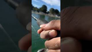 2024 apollo park trout fishing Lancaster ca [upl. by Ellswerth]