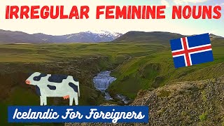 Icelandic Grammar Irregular Feminine Nouns [upl. by Lilybelle258]