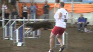 Agility Swiss Championship 2012  Pascal Mauroux with Bejay [upl. by Wyck985]