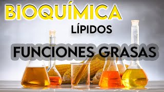 40 FUNCIONES DE LÍPIDOS Y GRASAS  BIOQUÍMICA [upl. by Gerbold]