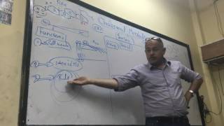 Dr Ayman Beshir  Cholesterol Metabolism [upl. by Trebbor]