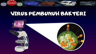 ZOOM BAKTERIOFAGVIRUS PEMBUNUH BAKTERI DENGAN MIKROSKOP ELEKTRON  DIRGA BIOLOGY CHANNEL [upl. by Ailimac204]