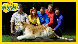 There Are So Many Animals 🐅🦁🐒 Animals Songs for Kids with The Wiggles [upl. by Atilef]