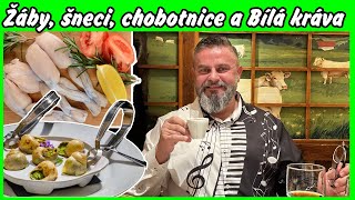 Žáby šneci chobotnice a Bílá kráva [upl. by Afihtan708]