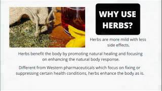 Benefit of Herbs Astragalus Root [upl. by Mathilda]