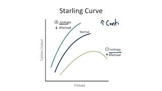 Starling Curve for the USMLE Step 1 [upl. by Bidle674]