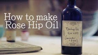 How to make Rose Hip infused Oil antiageing facial oil [upl. by Waylan]