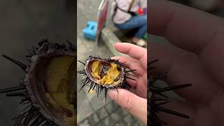 《拳爸》 Echinoidea sea ​​urchin seafood Fear ウニ シーフード 海膽 福隆 生吃 [upl. by Eremehc]