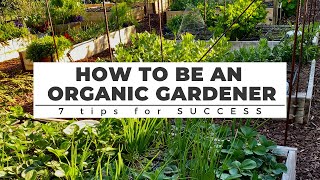 How to be an ORGANIC GARDENER 7 Tips for Success [upl. by Meyeroff589]