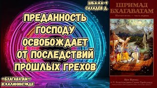 Преданность Господу освобождает от последствий прошлых грехов Сахадев д ШБ 6 4 6–9 [upl. by Tonnie]