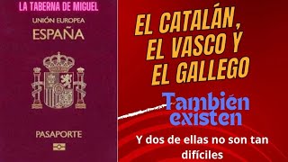 El gallego el catalán y el vasco también existen [upl. by Trici3]