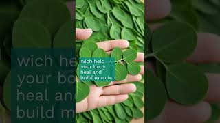 Moringa The Miracle Tree facts food [upl. by Cindee]