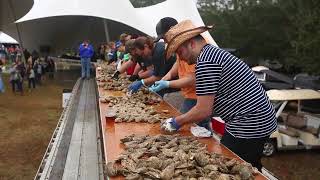 Lowcountry Oyster Festival [upl. by Sirahc340]