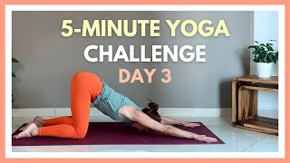 5minute Yoga Stretch ✨ quot5 is enoughquot 7 Day Yoga Challenge [upl. by Jammie]