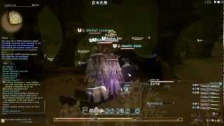 OUTDATED PRE 20 RELEASE Final Fantasy XIV  Cutters Cry Speed Run patch 121 [upl. by Ives]