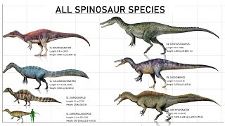 All 16 Different Species Of Spinosaurs Explained 2022 [upl. by Madancy]