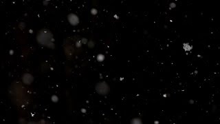 Beachfront BRoll Snow Falling Free to Use HD Stock Video Special Effects [upl. by Lindi]