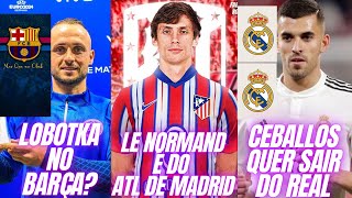 LOBOTKA NO BARCELONA DANI CEBALLOS QUER SAIR DO REAL MADRID E LE NORMAND É DO ATLETICO DE MADRID [upl. by Sitsuj]