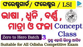 Odia Grammar Concept Class by PATTANAYAKEDUCATION  Bhasa  Dwani  Barna  Matra and Phala [upl. by Llenahs]