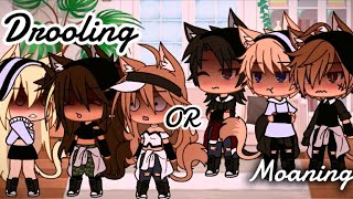 Drool or moan meme gacha gachalife gachaclub gachameme gachameme viral shorts fyp edit [upl. by Wing]