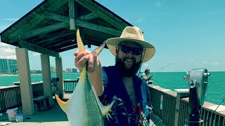 Clearwater fl Pier 60 [upl. by Carder747]