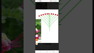 InflorescencePart 1 Racemose inflorescence Malayalam explanation [upl. by Nomsed252]