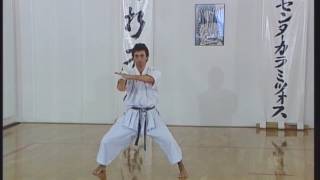 Shotokan  Tekki Sandan [upl. by Yerac]