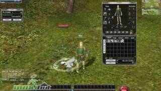 Rappelz Gameplay  First Look HD [upl. by Timotheus]