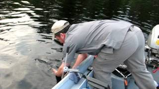 Kipawa Lake Blue Walleye [upl. by Yllod601]