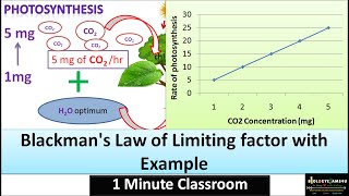 Blackmans Law of Limiting Factor with Example  BiologyExams4u 1 Minute Classroom [upl. by Leirraj]