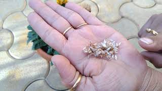 How to collect Seed of Gazania Flower [upl. by Razaile]