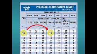 How to Use a PT Chart [upl. by Ahsimat264]