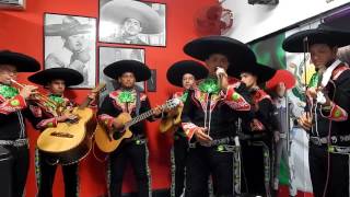 MARIACHI JUAREZ DE BARRANQUILLA COVER MOTIVOS VICENTE FERNANDEZ [upl. by Nsaj]