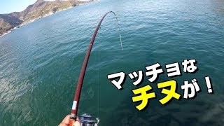 寒チヌ狙って色々まわってみた結果！Black sea bream fishing [upl. by Evilo266]