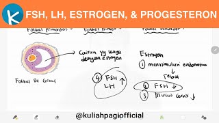 Fisiologi Siklus Menstruasi 35  Fungsi Hormon FSH LH Estrogen dan Progesteron Sesi 1 [upl. by Erie]