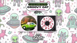 Marciano TikTok x Groovy Cat Javi Sánchez Mashup PAWSA Flako Stik [upl. by Vish]