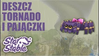 Star Stable🕷 WSZYSTKIE PAJĄCZKI W FORCIE PINTA [upl. by Peppy70]