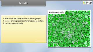 Growth  Plant Growth and Development  Biology  Class 11th  iPrep [upl. by Lucais136]