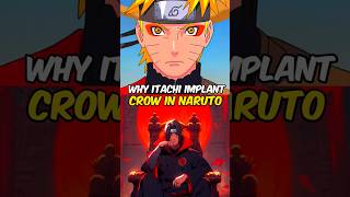 Why Itachi implant Crow in Naruto anime shorts naruto [upl. by Jillana649]