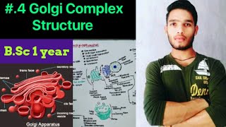 Golgi complex Structure and function  Golgi bodies  BSc  MSc  PGT Biology  CSIR NET [upl. by Nickey]