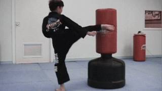 100 Taekwondo Speed Kicks in 66 Seconds  How Fast Can You Do It Take a Vote [upl. by Eicram]