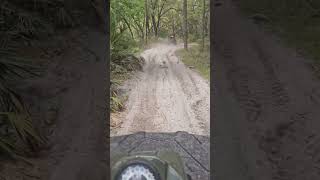 Full Video  Extra Dry Trail Riding at Hog Waller Mud Bog amp ATV Park in Palatka Florida [upl. by France630]