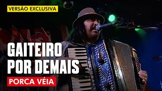 GAITEIRO POR DEMAIS  PORCA VÉIA AO VIVO  CLIP DVD [upl. by Atteuqahc]