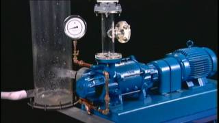 NASH Liquid Ring Vacuum Pump Reliability [upl. by Brock]