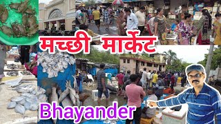 Mumbai Bhayander Fish Market 2024 Latest Vlog भायंदर मच्छी मार्केट [upl. by Notsruht]