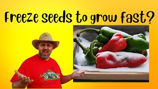 The Lightning Speed Method To Germinate Pepper Seeds survivalseeds2024 [upl. by Artened]