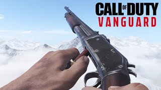 Call of Duty VANGUARD  All Weapons Showcase [upl. by Beale173]