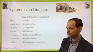 Biologie van Tim  Indeling en naamgeving van soorten onderbouw [upl. by Thedrick]